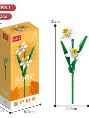 Narcissus