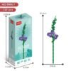 Gladiolus