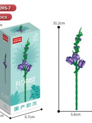 Gladiolus
