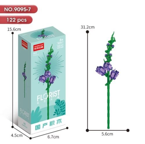 Gladiolus