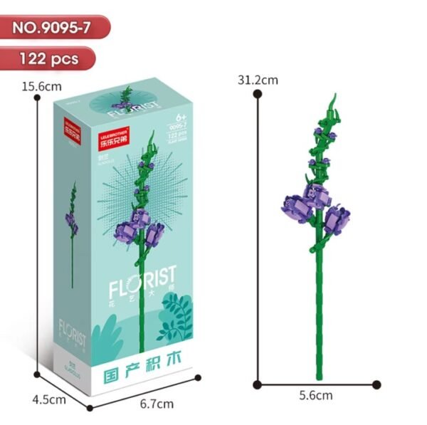 Gladiolus