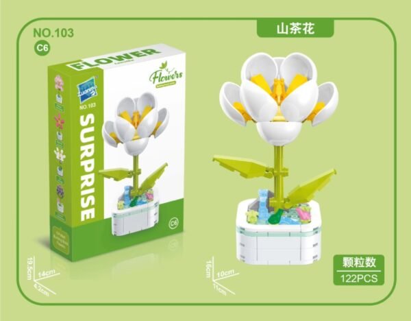Camellia