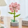 Carnation