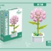Carnation