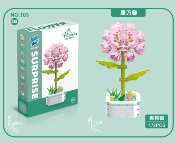 Carnation