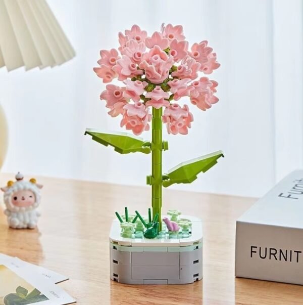 Carnation