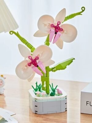 Orchid