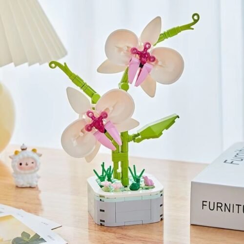 Orchid
