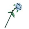 Blue Rose