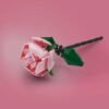 Pink Rose