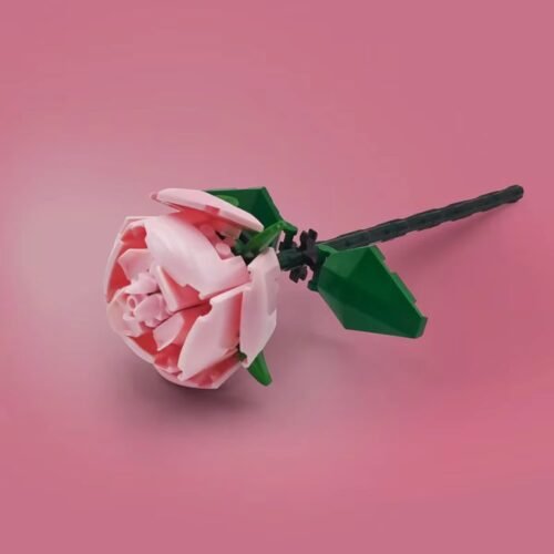 Pink Rose