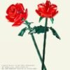 Red Rose