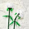 White Rose