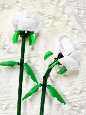 White Rose